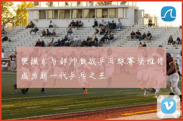 樊振东与郝帅激战乒乓球赛场谁将成为新一代乒乓之王