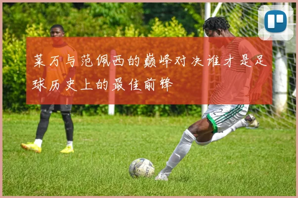 莱万与范佩西的巅峰对决谁才是足球历史上的最佳前锋