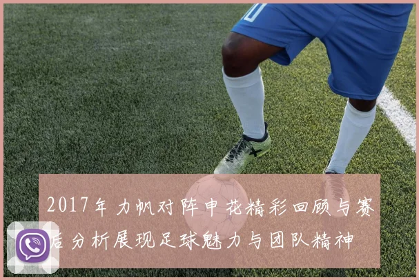 2017年力帆对阵申花精彩回顾与赛后分析展现足球魅力与团队精神