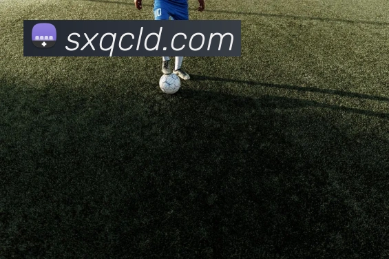 2018年CCTV直播勇士队与国王队激烈对决精彩瞬间回顾